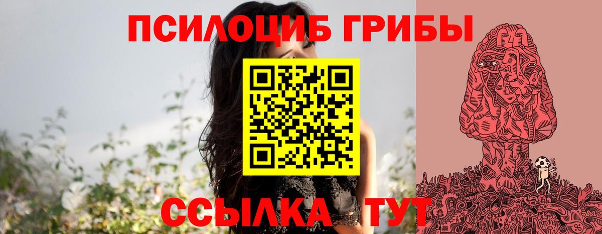 Галлюциногенные грибы Psilocybe Муром